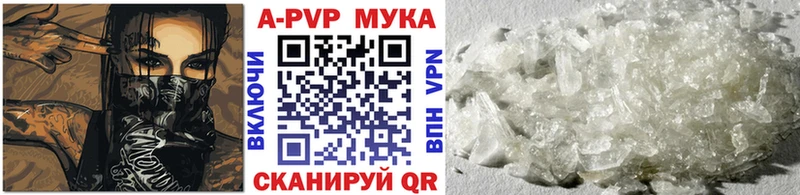 Альфа ПВП СК Мыски