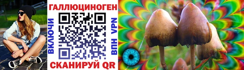 Псилоцибиновые грибы ЛСД  блэк спрут зеркало  Мыски  дарнет шоп 